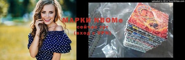 хмурый Алзамай