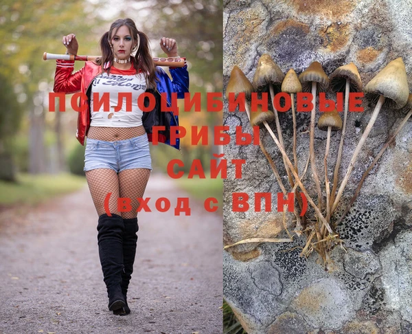 ПСИЛОЦИБИНОВЫЕ ГРИБЫ Алексеевка