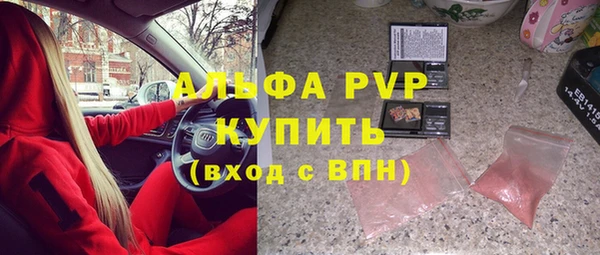 индика Покачи
