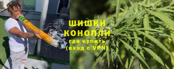 ПСИЛОЦИБИНОВЫЕ ГРИБЫ Алексеевка