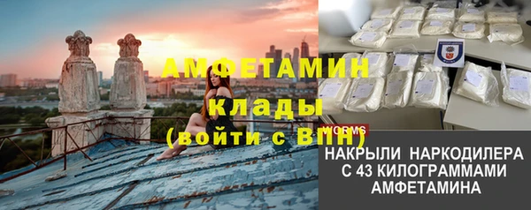 хмурый Алзамай